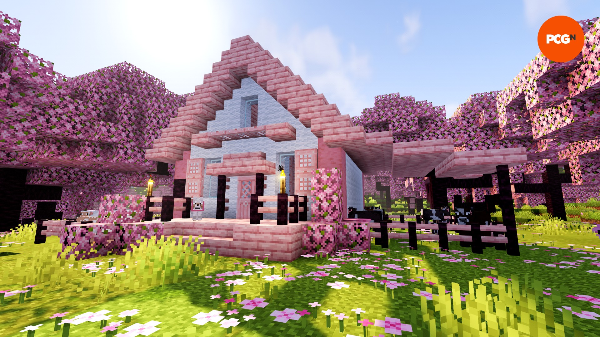 SMP image